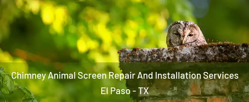  Chimney Animal Screen Repair And Installation Services El Paso - TX