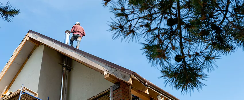 Birds Removal Contractors from Chimney in El Paso, TX