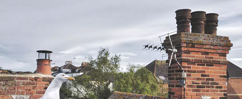 Chimney Cleaning And Restoration in El Paso, Texas